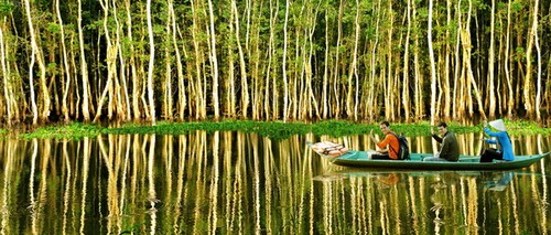 Tour of Mekong River Delta in flood season - ảnh 1